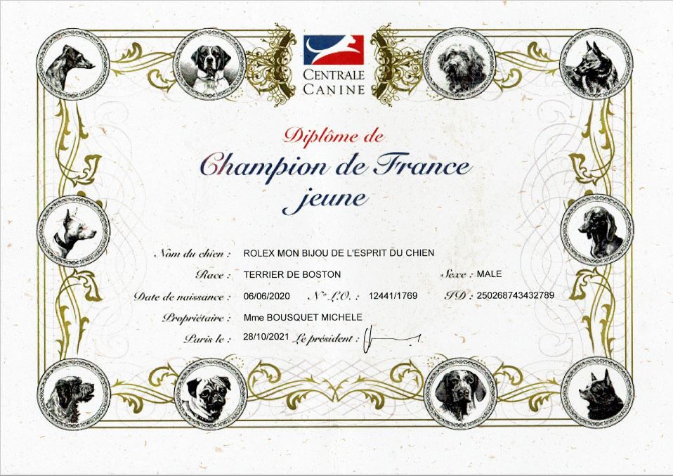 De L'esprit Du Chien - ROLEX JEUNE CHAMPION DE FRANCE 2021