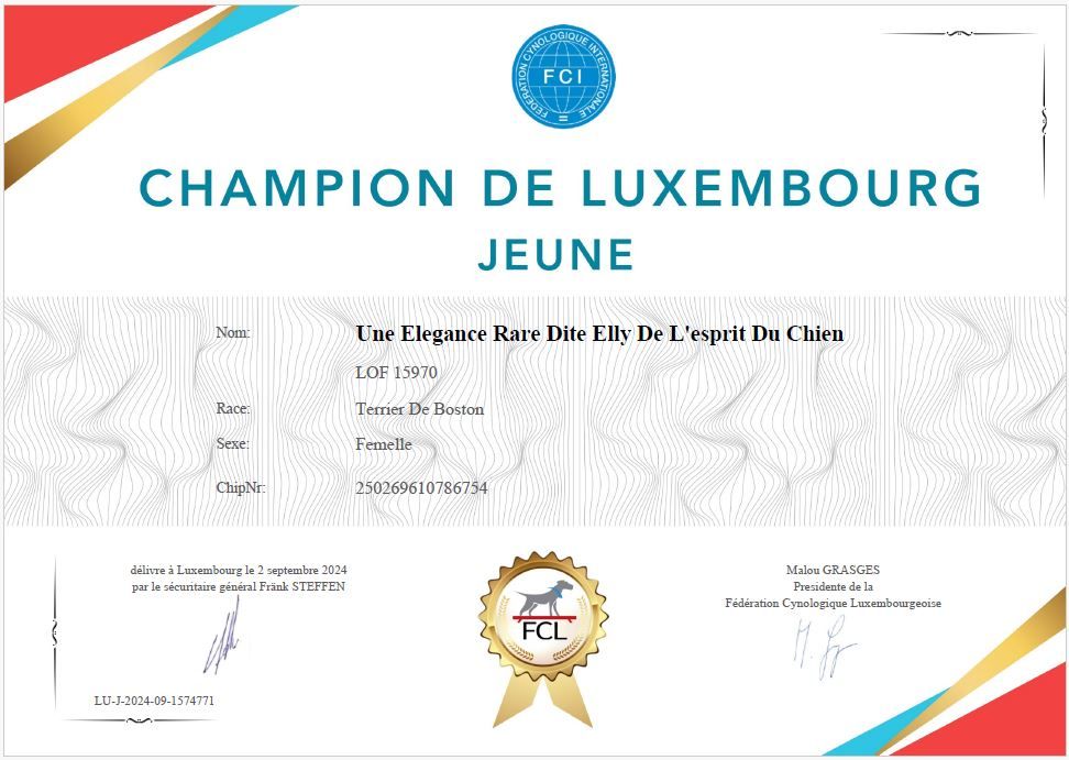 De L'esprit Du Chien - UNE ÉLÉGANCE RARE DE L'ESPRIT DU CHIEN CHAMPION JEUNE DE LUXEMBOURG 24