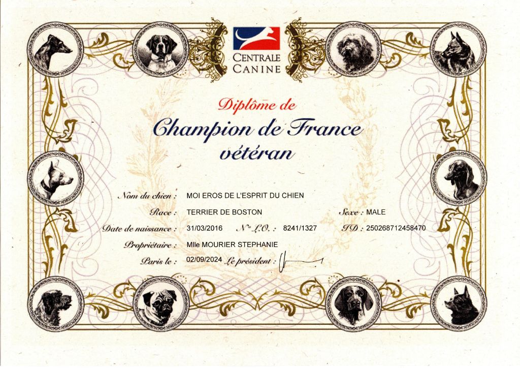 De L'esprit Du Chien - EROS CHAMPION DE FRANCE VETERAN 2024