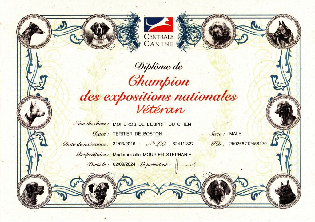 De L'esprit Du Chien - EROS CHAMPION VETERAN DES EXPOSITIONS NATIONALES