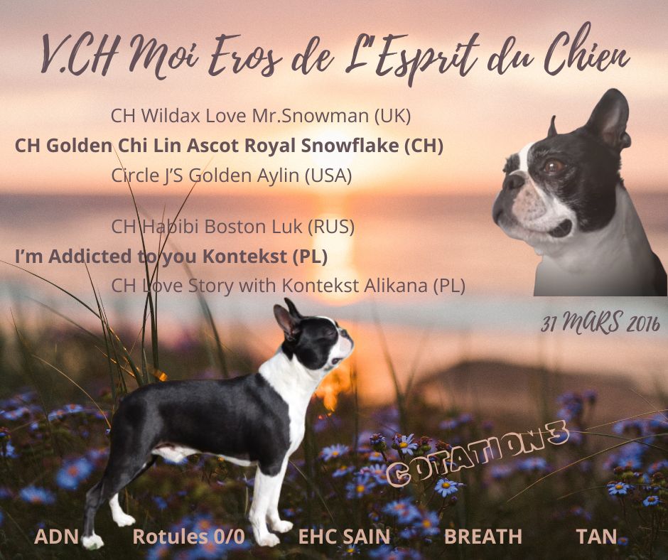 CH. V moi eros De L'esprit Du Chien