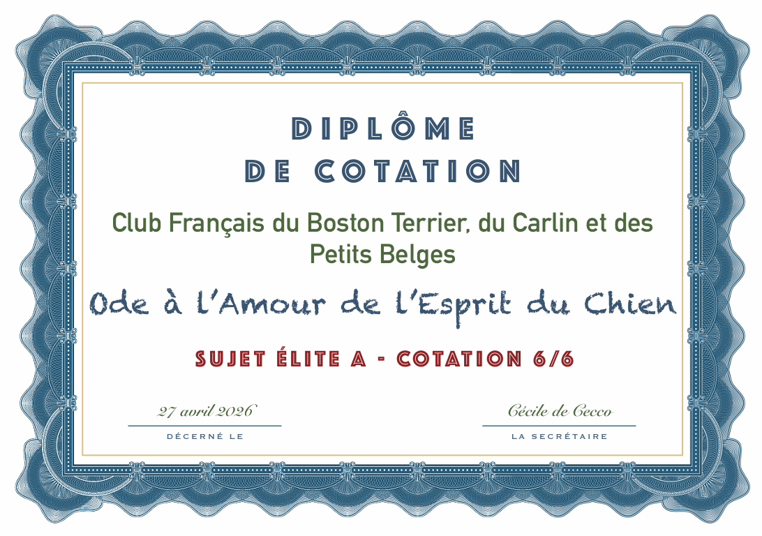 OuiOui devient cotation 6, ELITE A